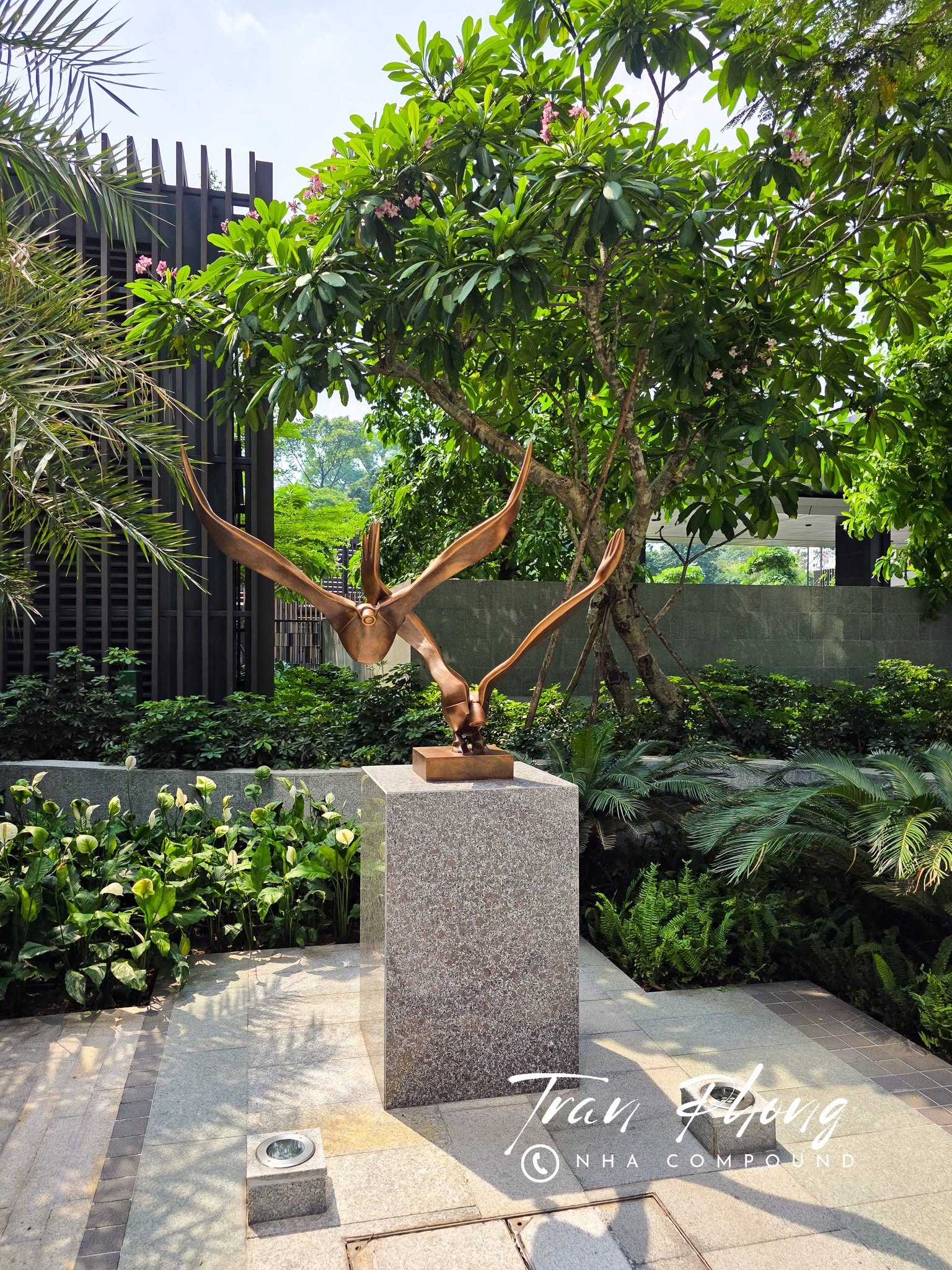 Ảnh khác