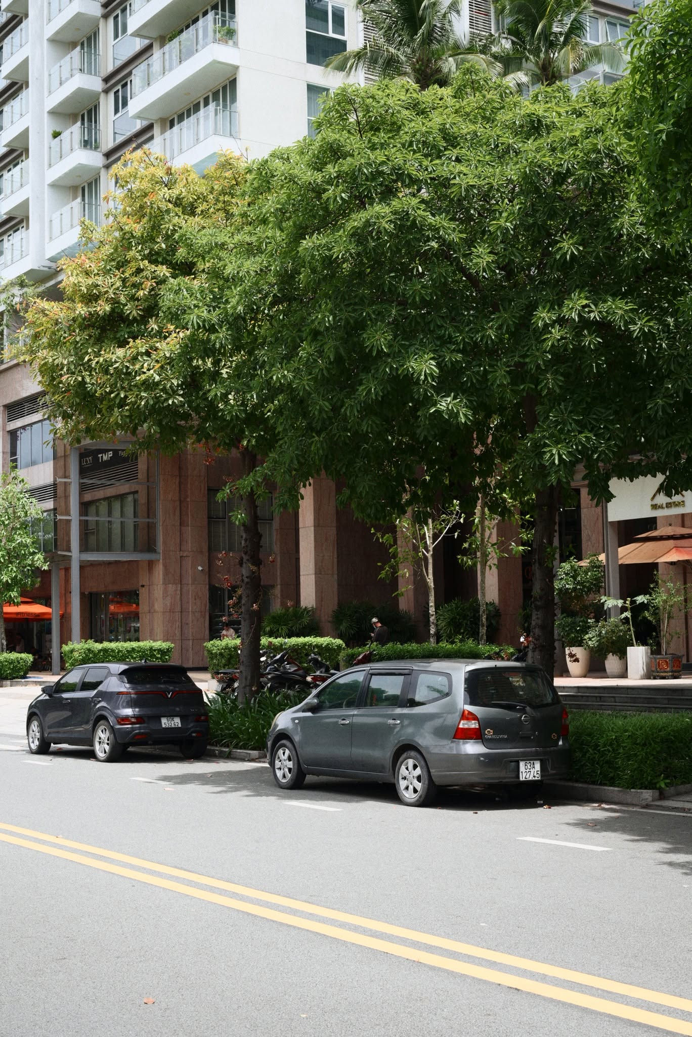 Ảnh khác