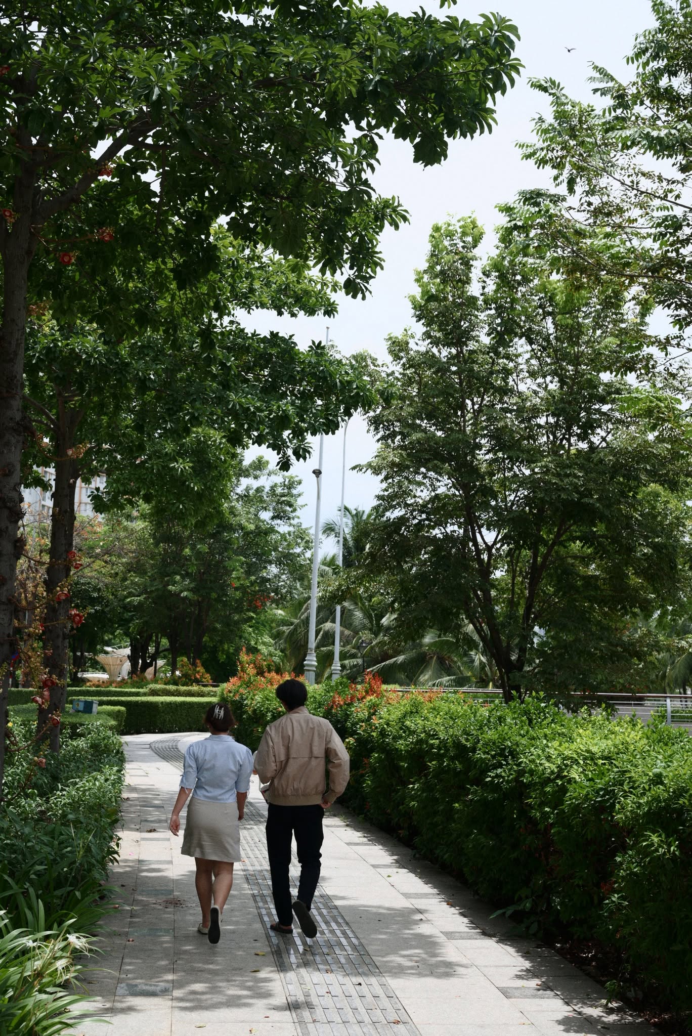 Ảnh khác