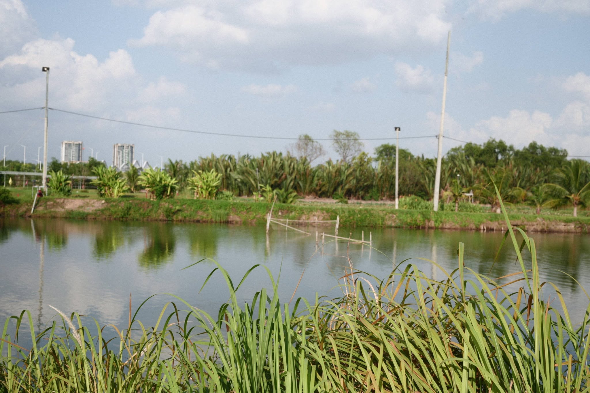 Ảnh khác