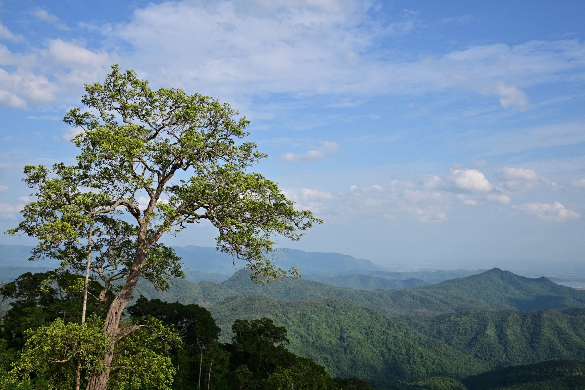 Ảnh khác