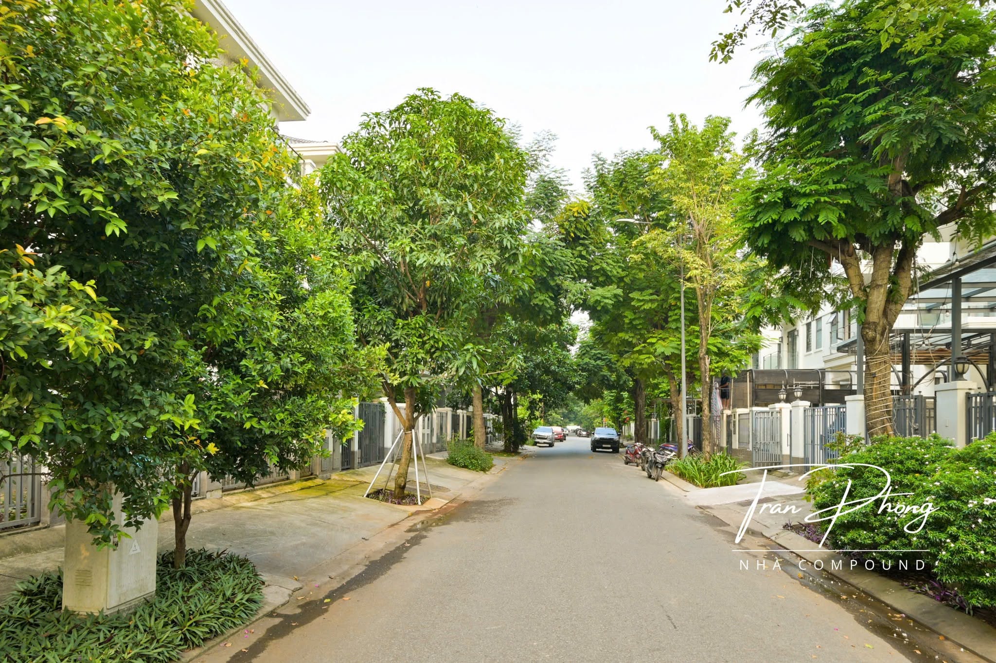 Ảnh khác